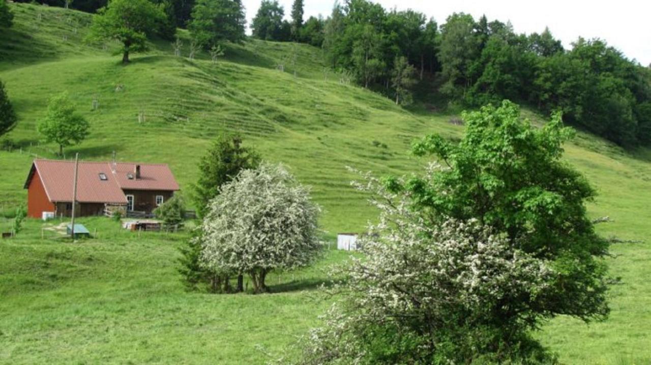 Kaufhold Ferienwohnung Immenstadt im Allgäu Exterior foto